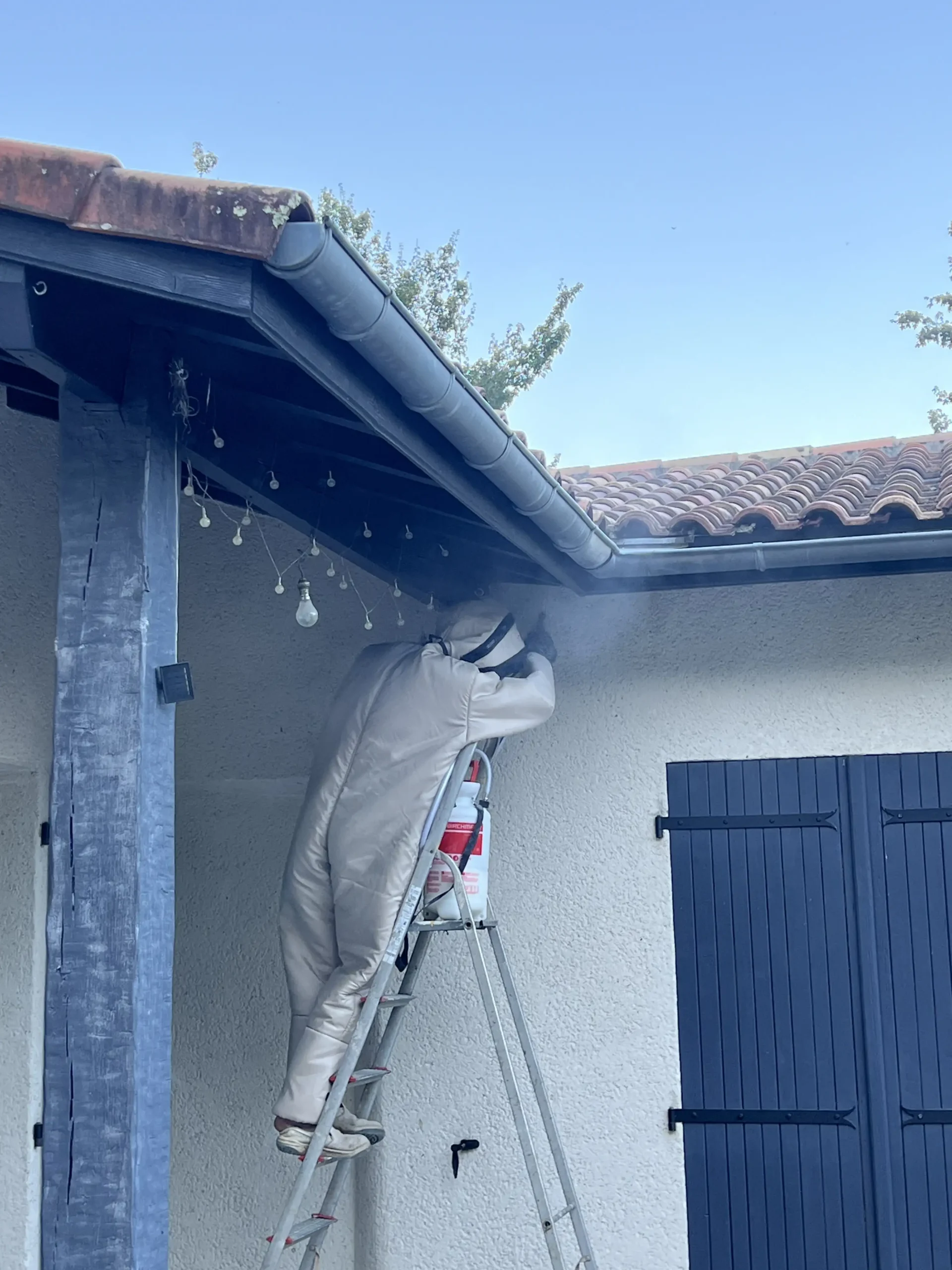 Benoît Pradin en intervention sur une échelle pour la destruction d’un nid de guêpes à Agen et ses alentours.